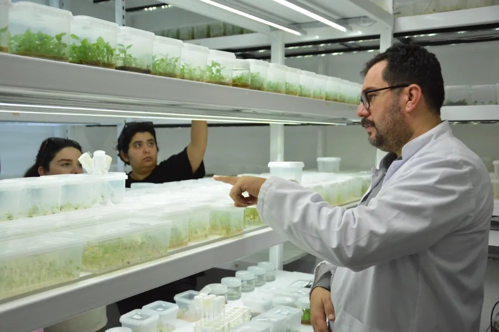 BAÇEM’de V. Bitki Doku Kültürü Kursu Tamamlandı