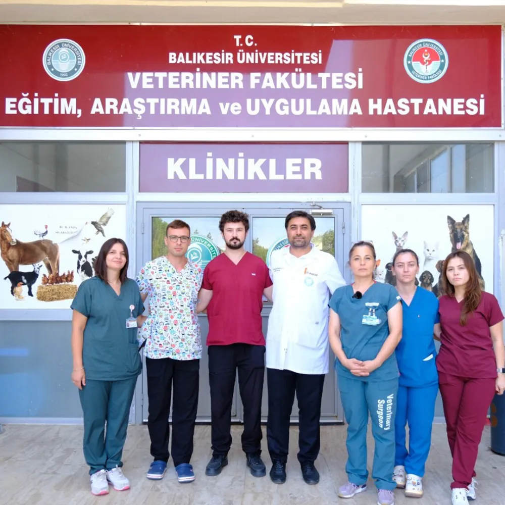 Depremzede Köpek “Ateş”e BAÜN’den Şefkat Eli